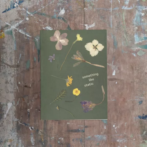 Something Like Static